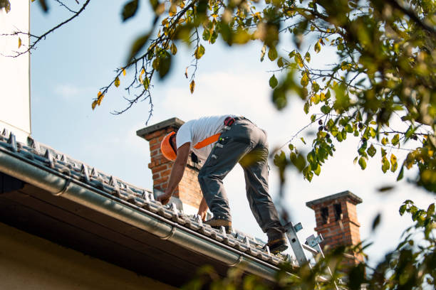 Fast & Reliable Emergency Roof Repairs in Bowman, ND